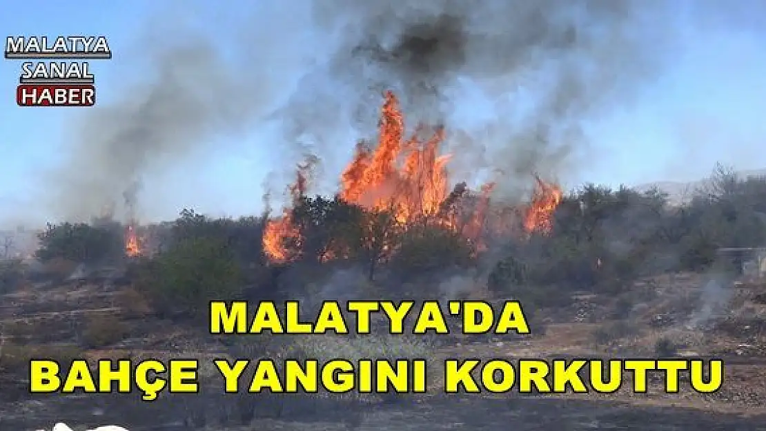 MALATYA'DA BAHÇE YANGINI KORKUTTU