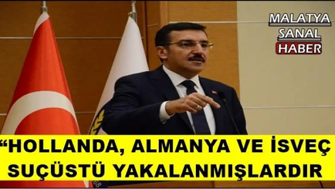 'HOLLANDA, ALMANYA VE İSVEÇ SUÇÜSTÜ YAKALANMIŞLARDIR'''