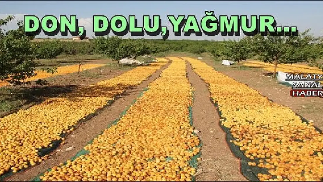 MALATYA, DON, DOLU,YAĞMUR...