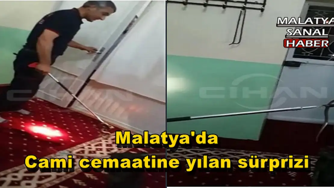 Malatya'da Cami cemaatine yılan sürprizi