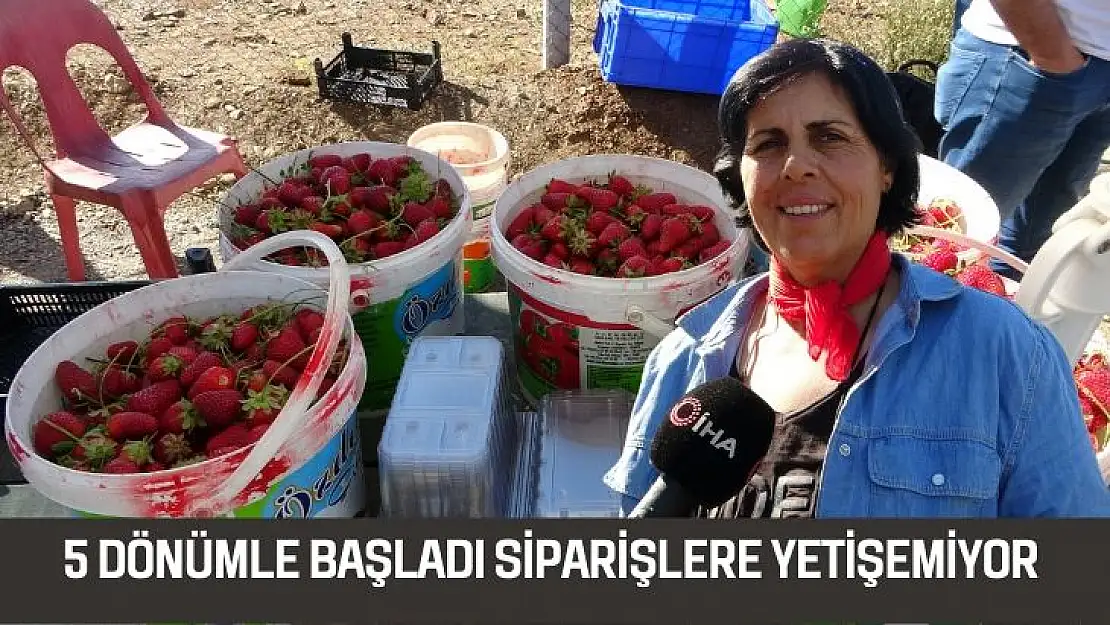 5 dönümle başladı siparişlere yetişemiyor