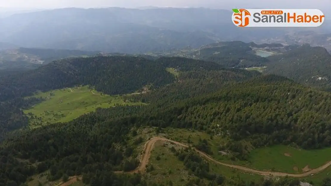 5 milyon 96 bin 286 adet fidan toprakla buluştu