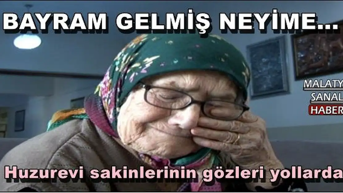 Malatya'da Yalnızlıklarını paylaşacak ziyaretçilerini bekliyorlar