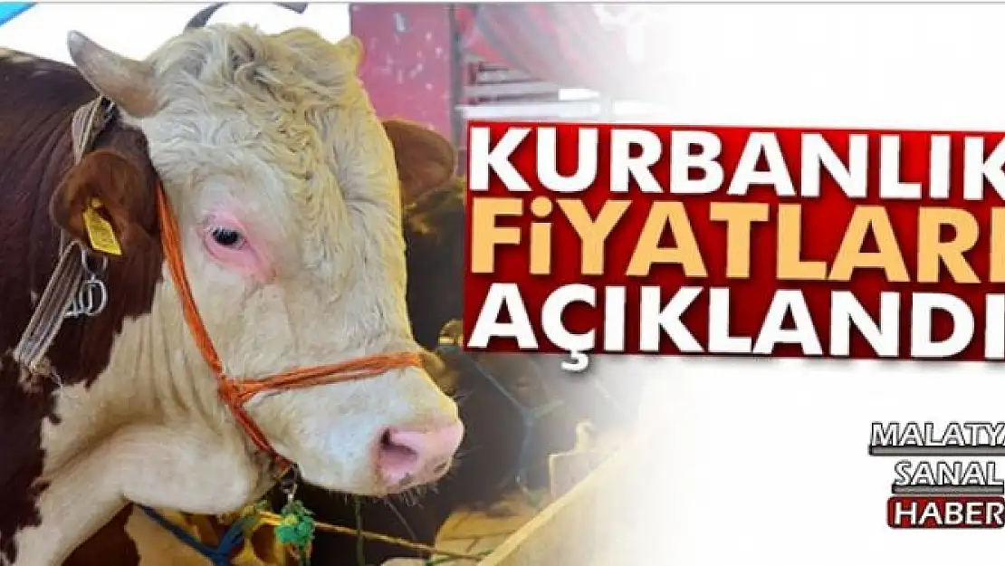 Kurbanlık fiyatları açıklandı