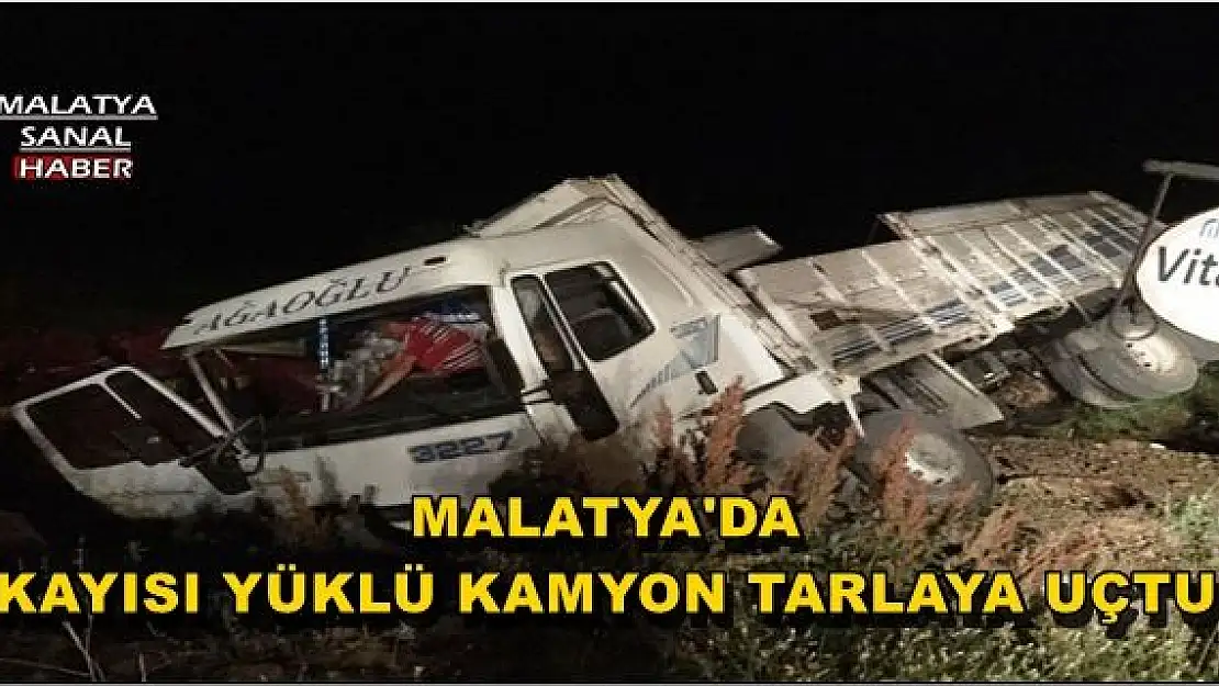 MALATYA'DA KAYISI YÜKLÜ KAMYON TARLAYA UÇTU