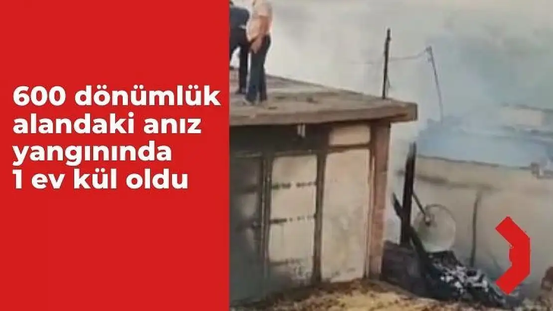 600 dönümlük alandaki anız yangınında 1 ev kül oldu