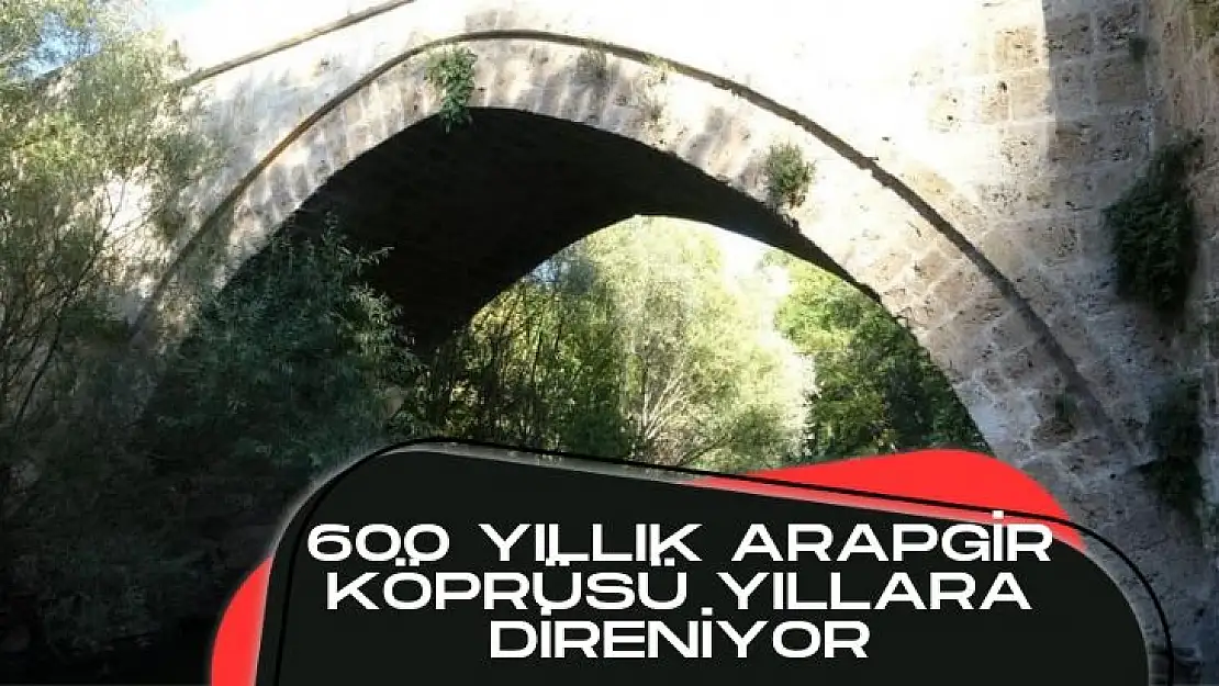 600 yıllık Arapgir Köprüsü yıllara direniyor