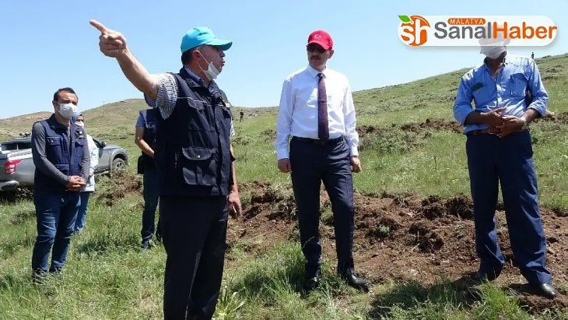 648 bin Sivaslı adına fidan dikilecek