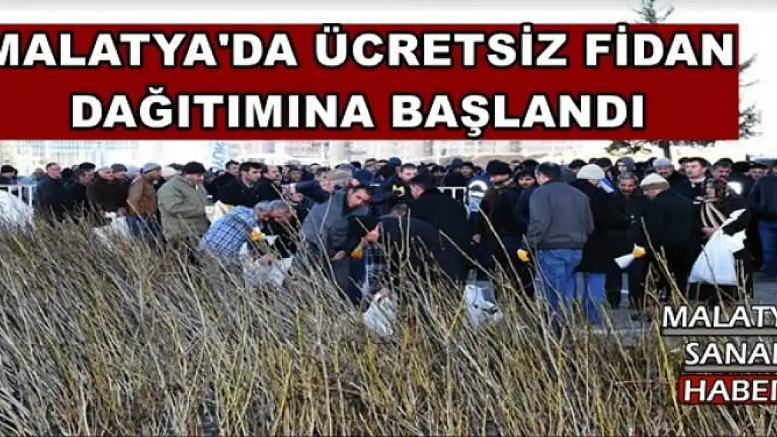 MALATYA'DA ÜCRETSİZ FİDAN  DAĞITIMINA BAŞLANDI