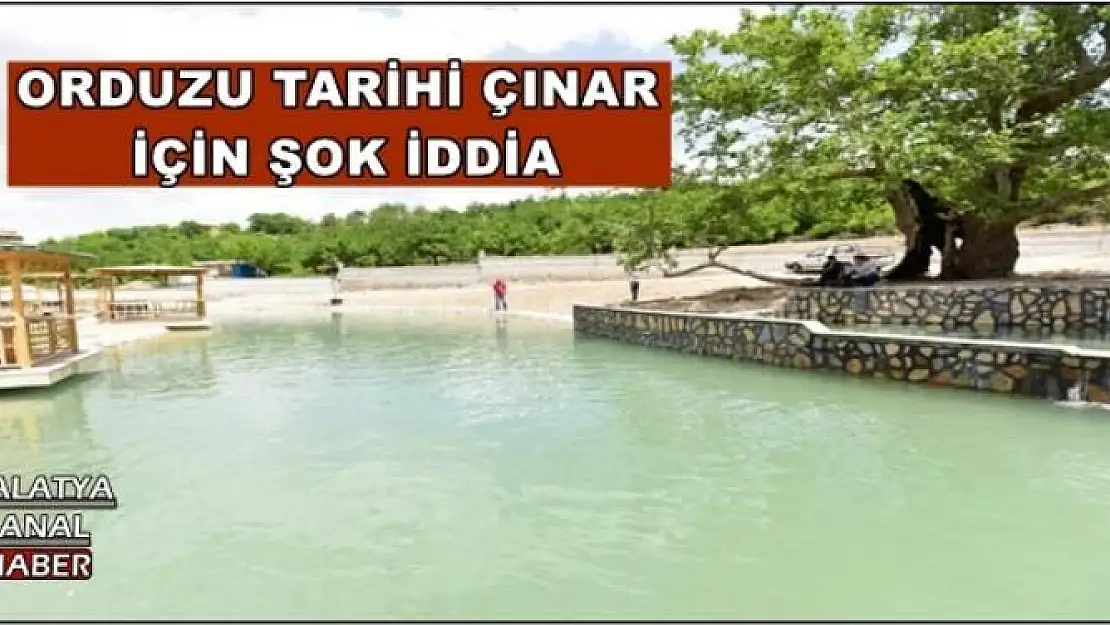 ORDUZU TARİHİ ÇINAR  İÇİN ŞOK İDDİA