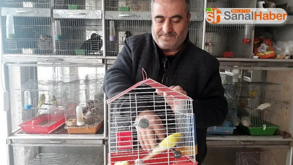 70 çeşit hayvanına gözü gibi bakıyor