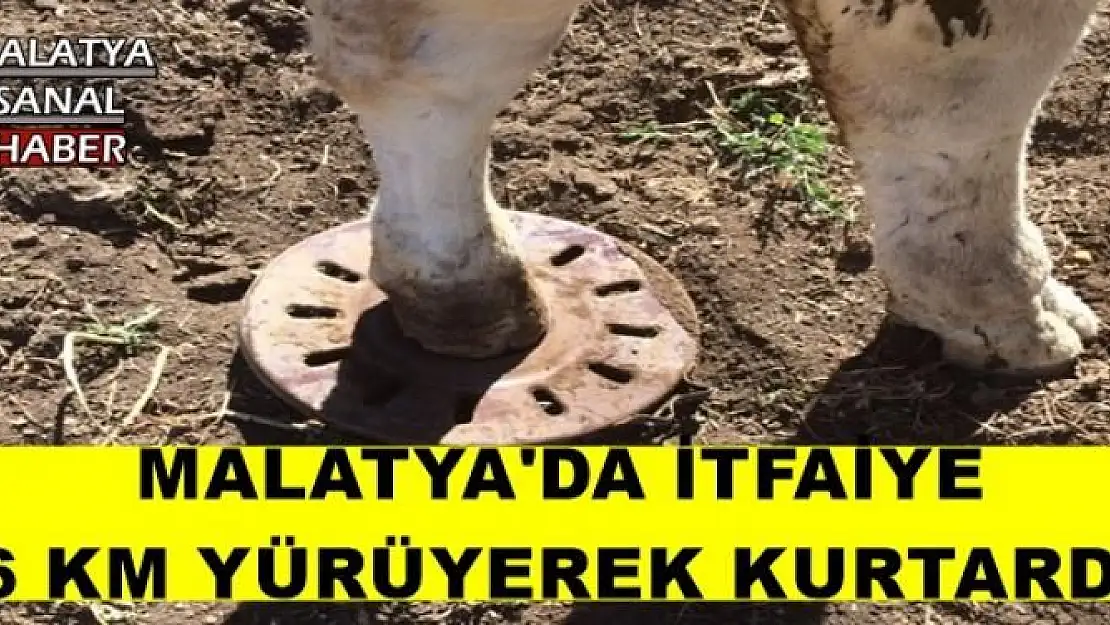 MALATYA'DA İTFAİYE  6 KM YÜRÜYEREK KURTARDI