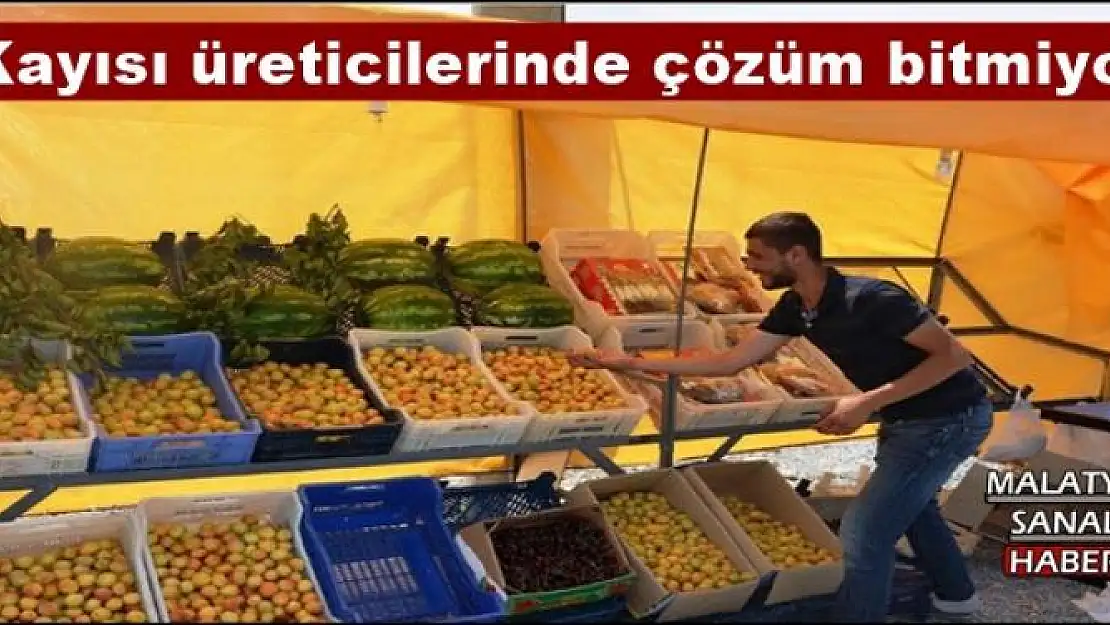 Kayısı üreticilerinde çözüm bitmiyor