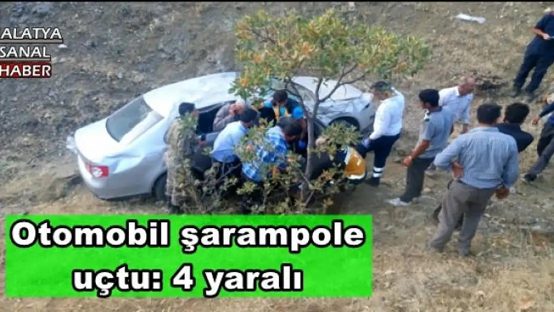 Malatya'da Otomobil şarampole uçtu: 4 yaralı