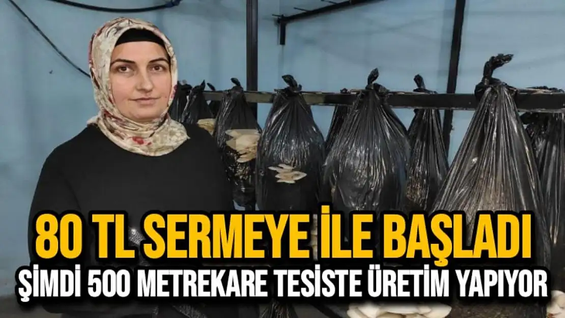 80 TL sermeye ile başladı şimdi 500 metrekare tesiste üretim yapıyor