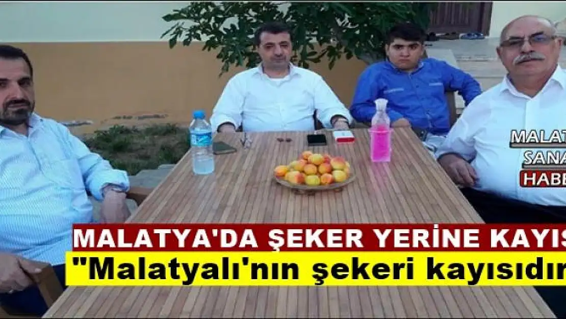 MALATYA'DA ŞEKER YERİNE KAYISI