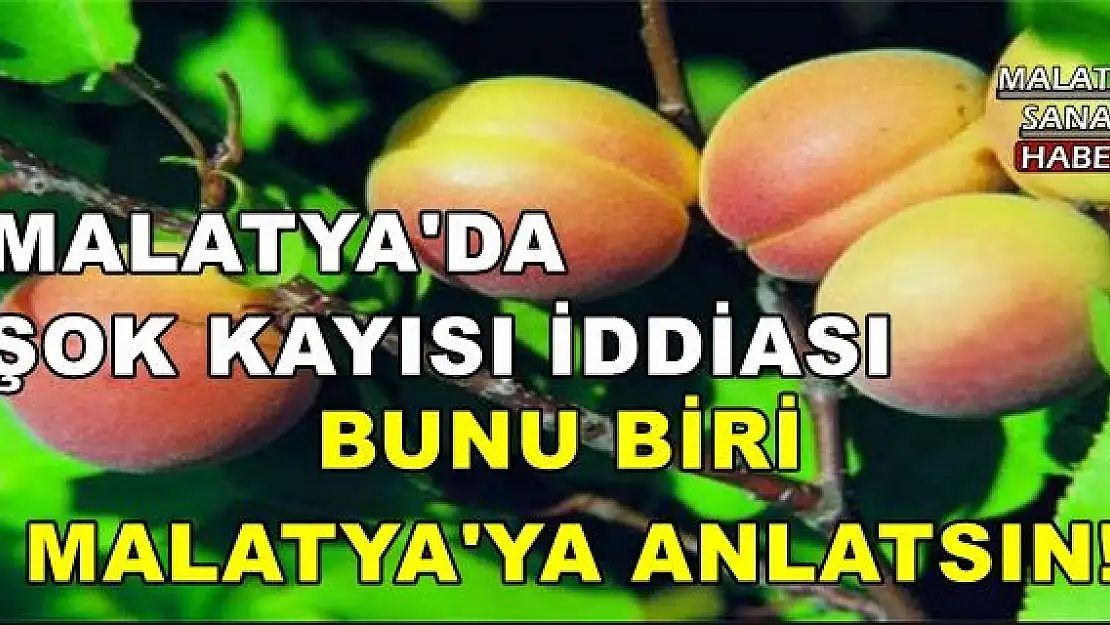 MALATYA'DA  ŞOK KAYISI İDDİASI