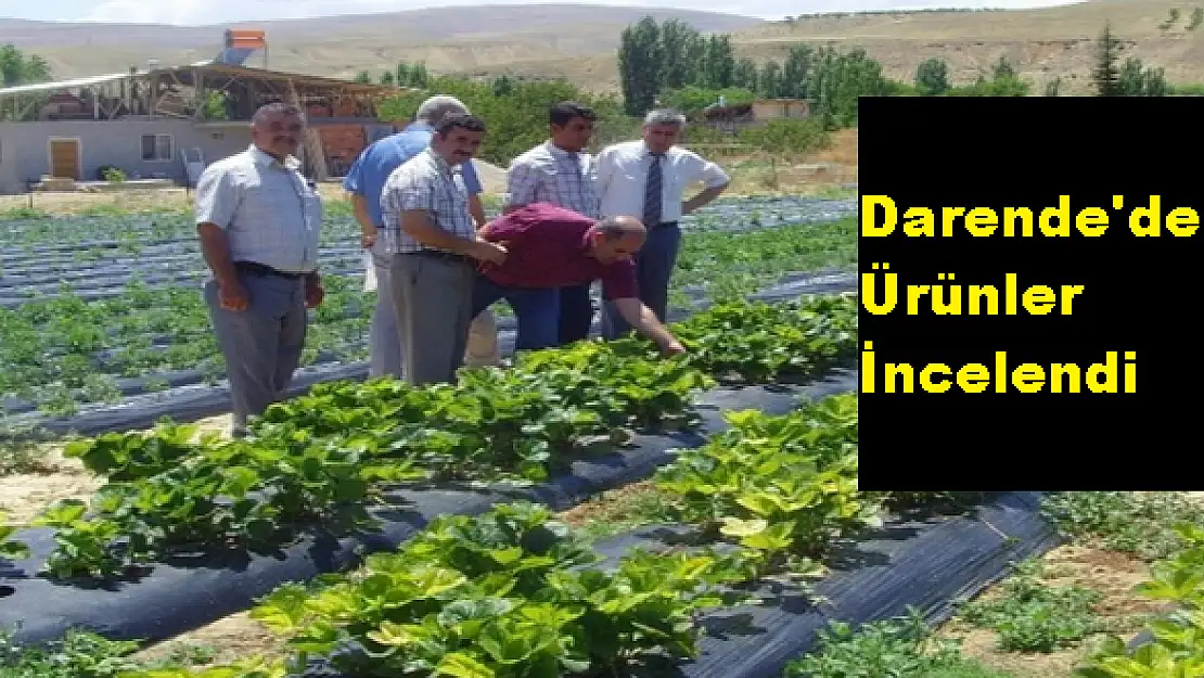 DARENDE'DE ÜRETİM SAHALARI GEZİLDİ