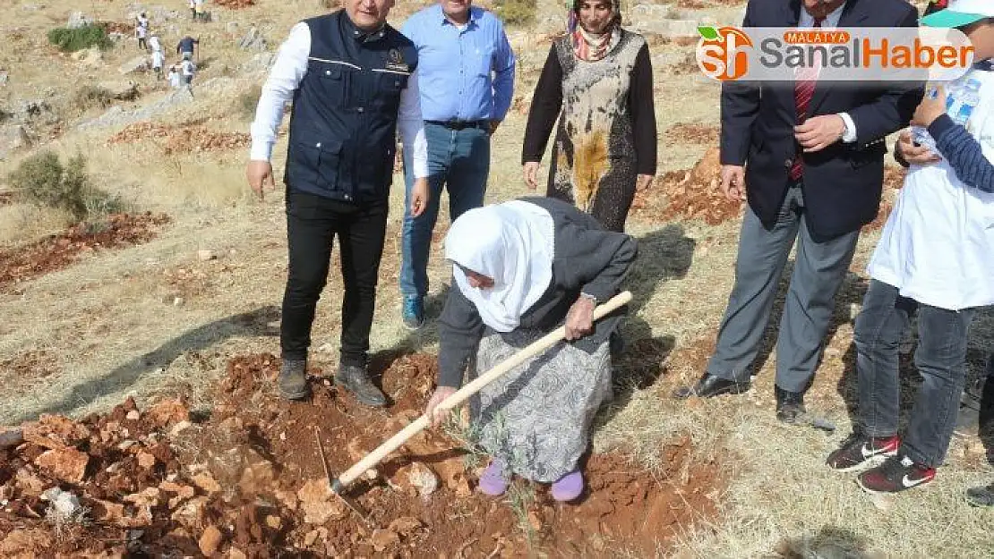 90'lık nine fidanı toprakla buluşturdu