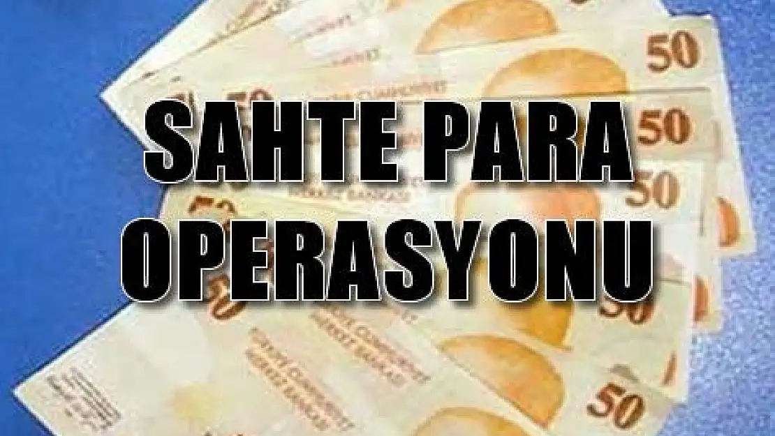 MALATYA'DA SAHTE PARA OPERASYONU