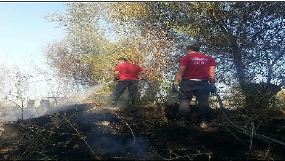 Anız yangınında yaklaşık 80 ağaç zarar gördü