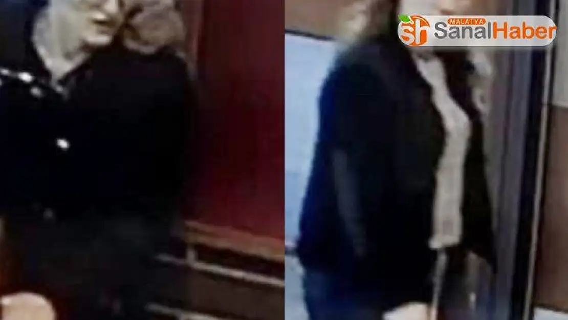 ABD polisi, kiliseyi soyan iki Türk'ü arıyor