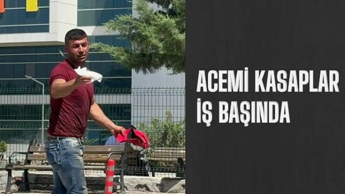 Acemi kasaplar iş başında