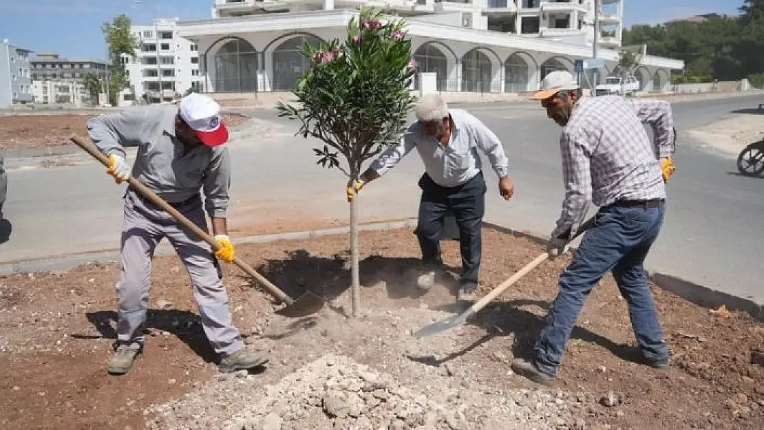 'Adıyaman Belediyesi peyzaj çalışmalarına devam ediyor'