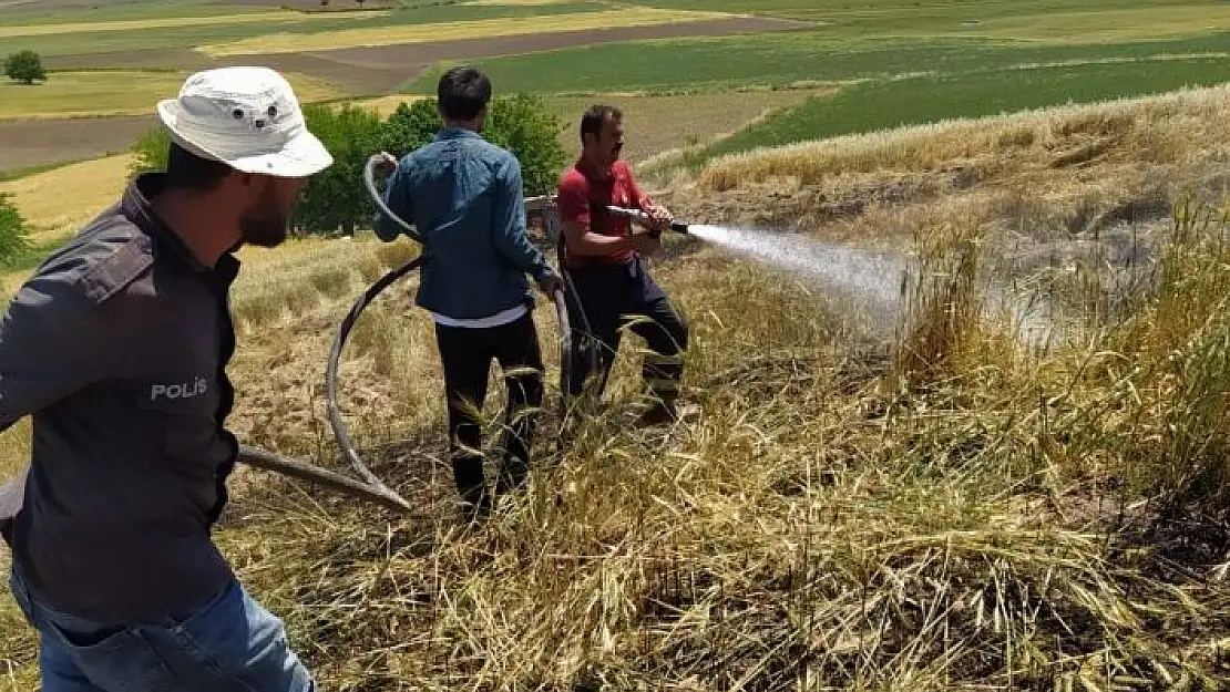 'Adıyaman´da 10 dönüm buğday tarlası yandı'