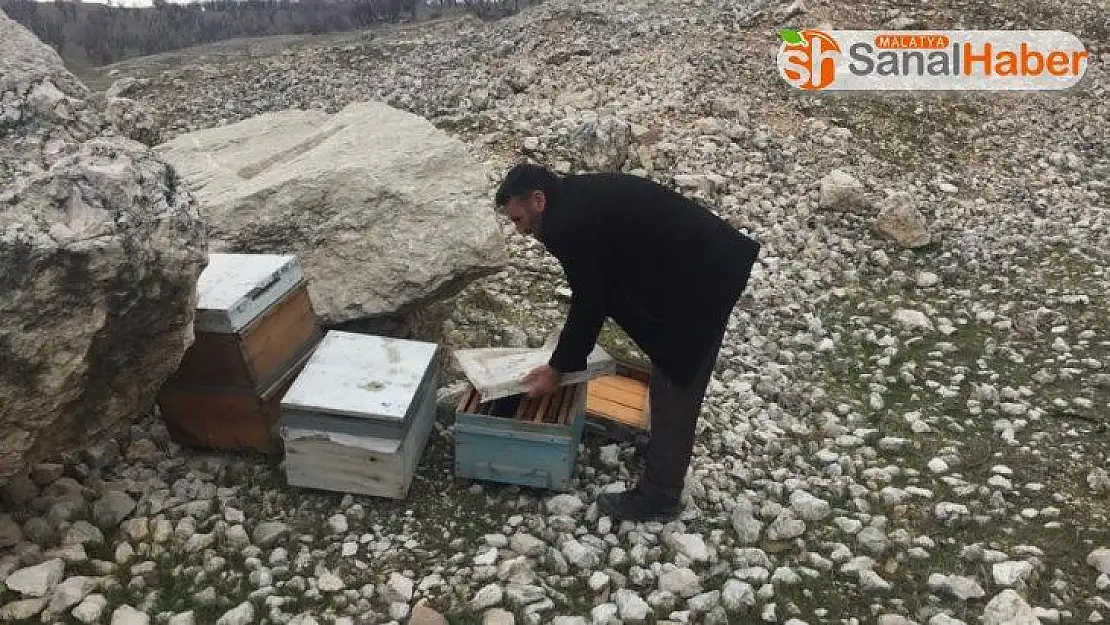 Adıyaman'da 16 adet arılı kovan çalındı