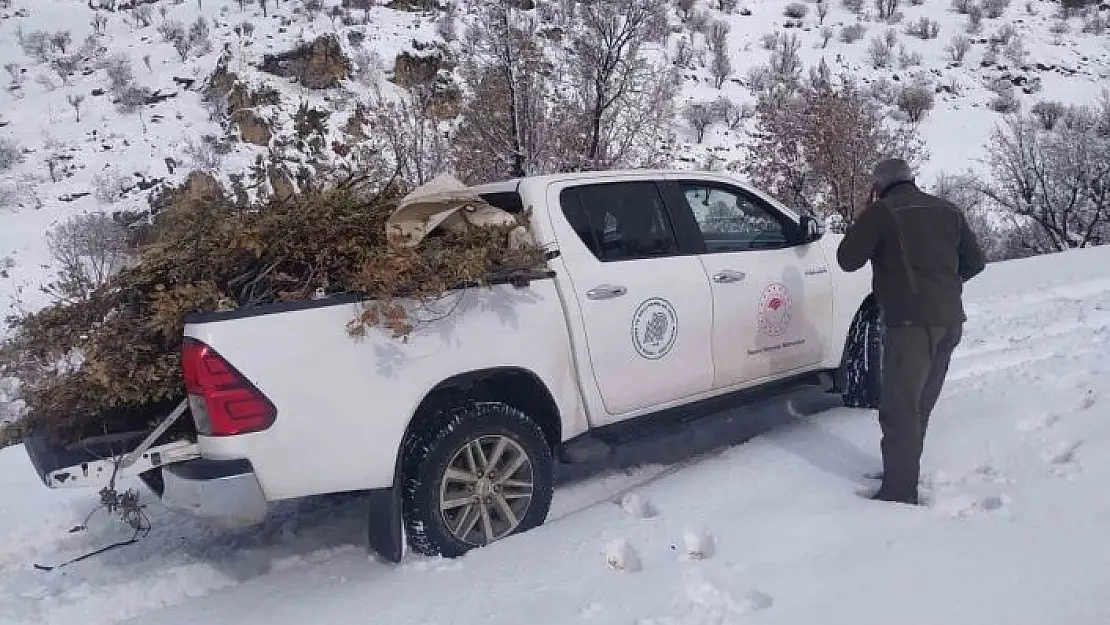 'Adıyaman´da doğaya yem bırakıldı'