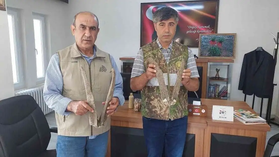 'Adıyaman´da ele geçirilen keçi boynuzuna 513 bin TL ceza'
