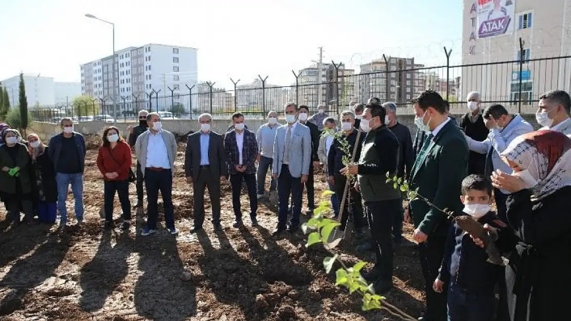 'Adıyaman´da fidan dikimleri devam ediyor'