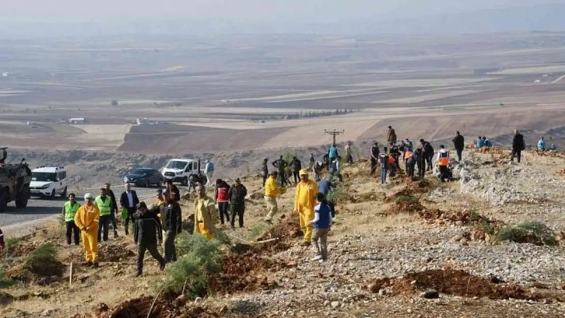 'Adıyaman´da, fidanlar toprakla buluşturuldu'