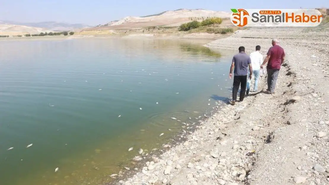 Adıyaman'da korkutan balık ölümleri