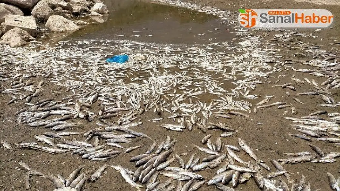 Adıyaman'da korkutan görüntü