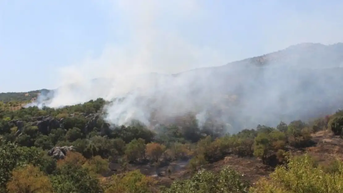 'Adıyaman´da korkutan orman yangını'