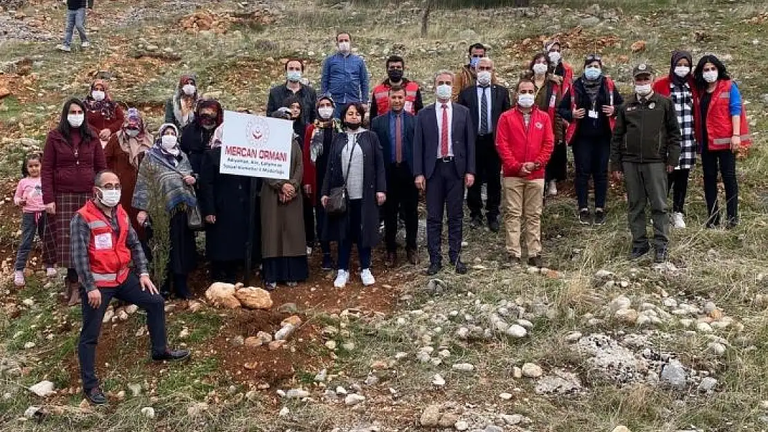 'Adıyaman´da Mercan Hatıra Ormanı oluşturuldu'