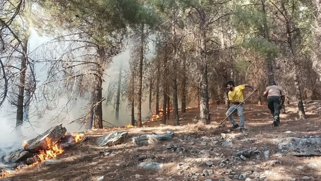 'Adıyaman´da orman yangını başladı'