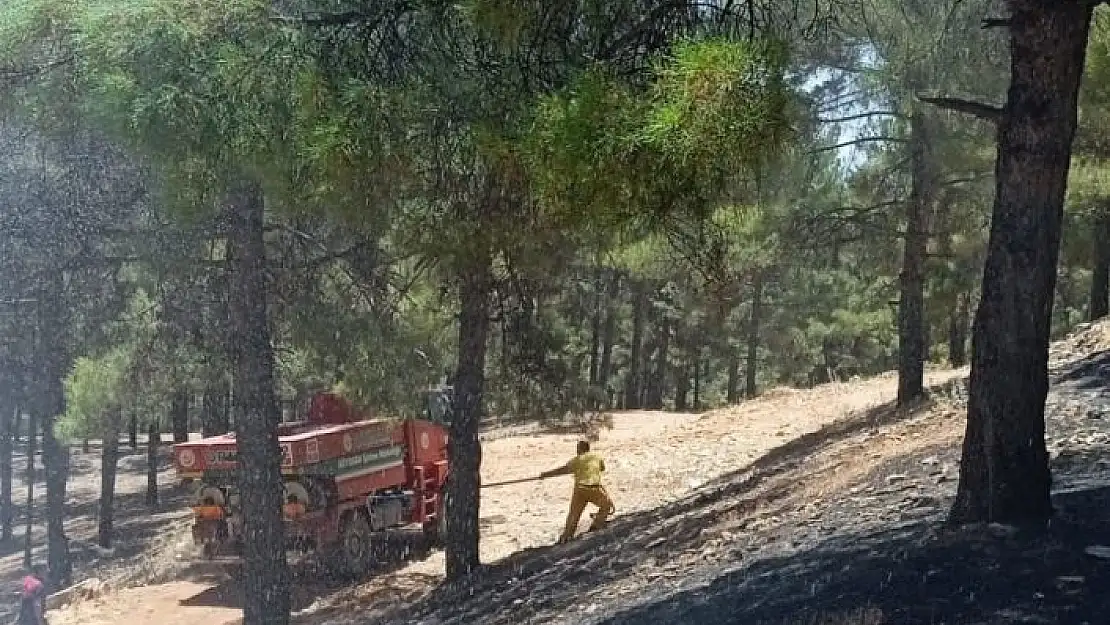 'Adıyaman´da orman yangını korkuttu'