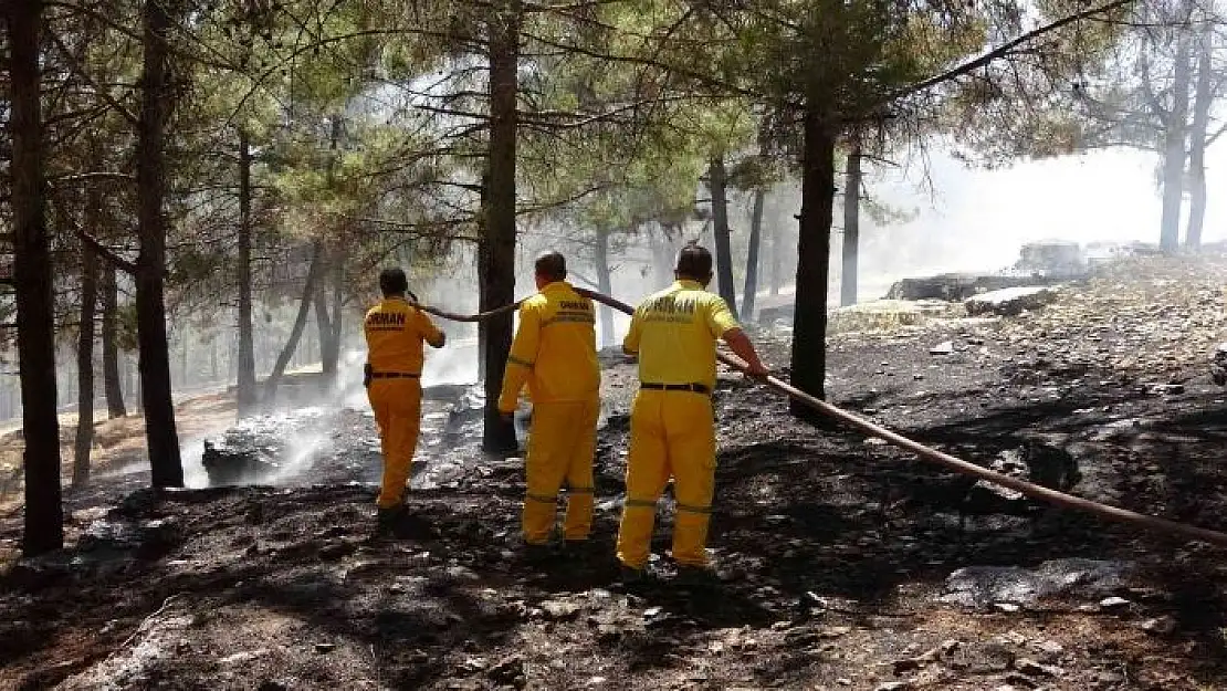 'Adıyaman´da orman yangını korkuttu'