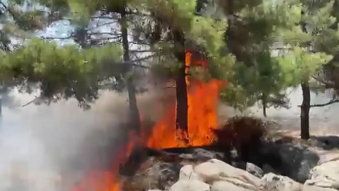 'Adıyaman´da orman yangını'