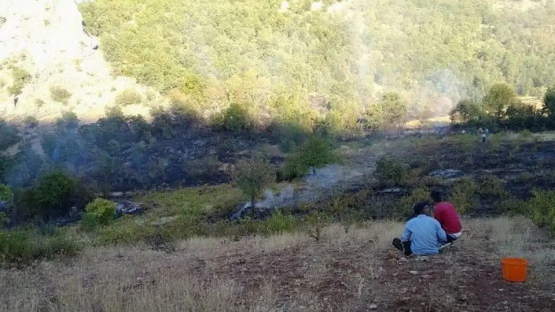 'Adıyaman´da orman yangınına itfaiye müdahale etti'