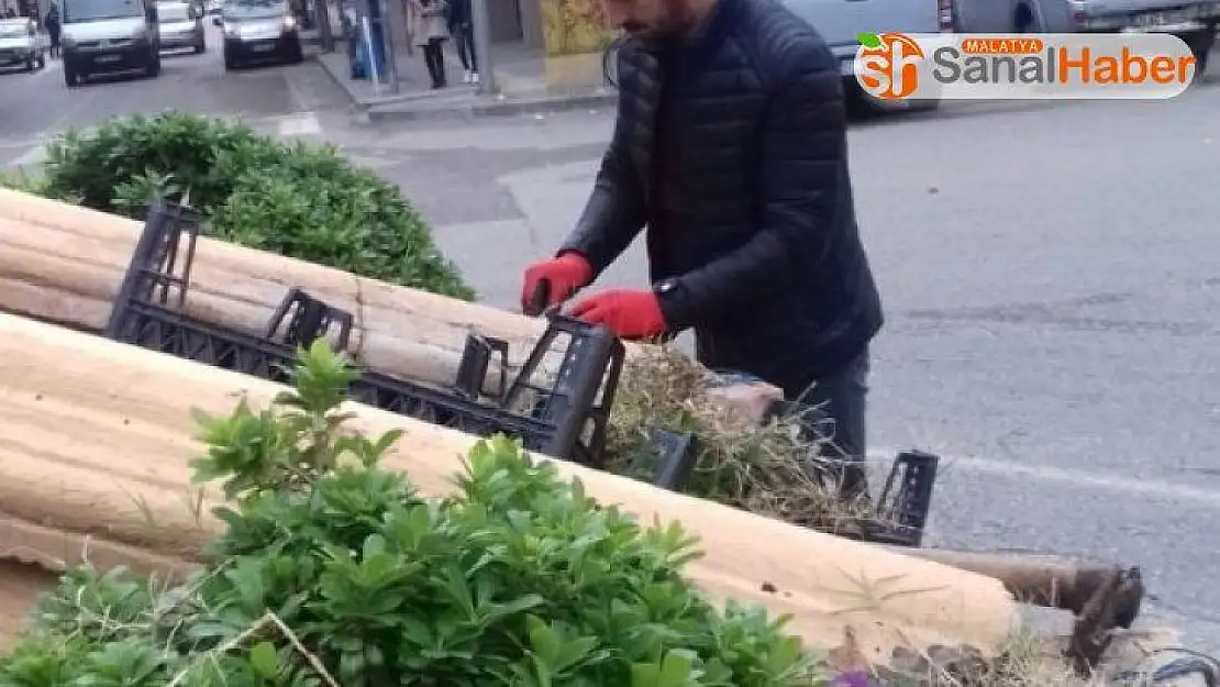 Adıyaman'ın her köşesi rengarenk oluyor