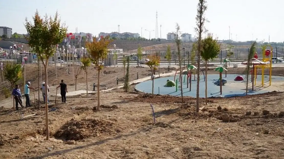 'Adıyaman Millet Bahçesi ağaçlandırılıyor'