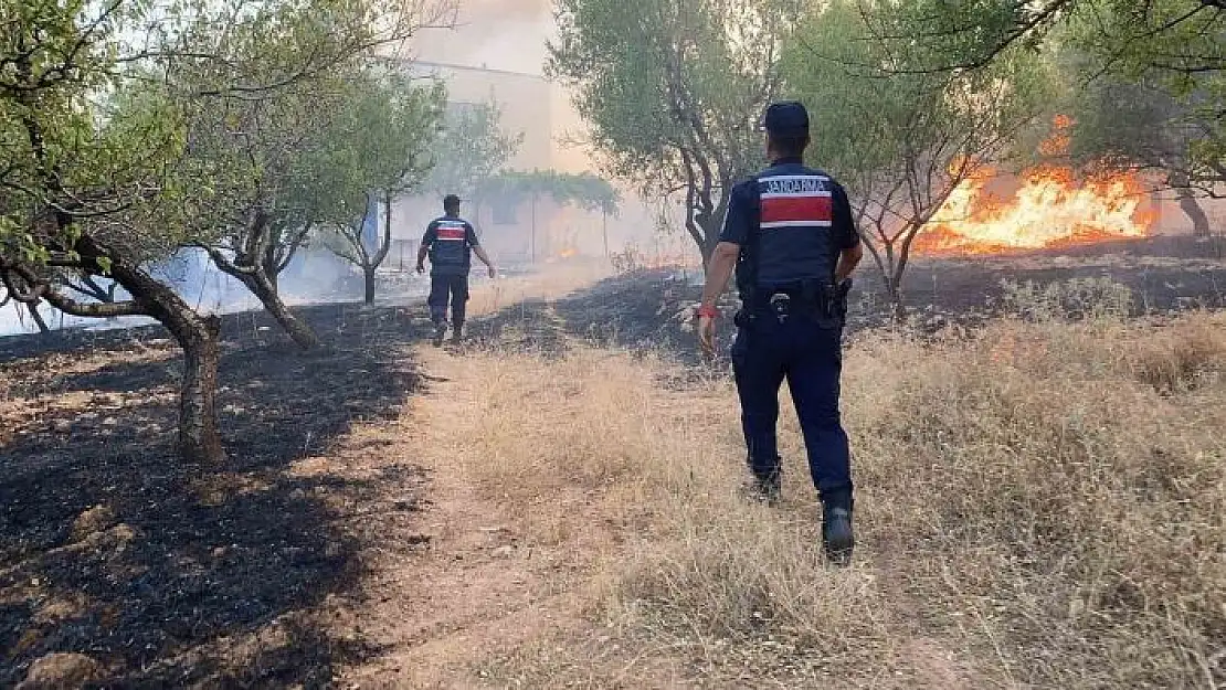 'Adıyamanda örtü yangını ormanlık alana sıçradı'