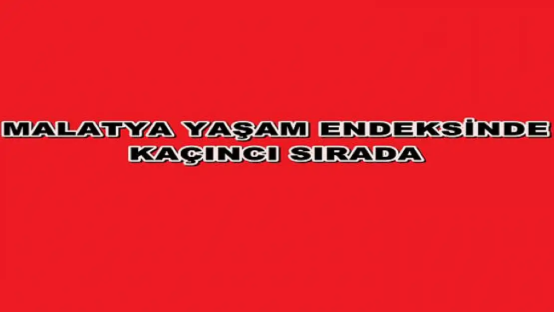 İLLERDE YAŞAM ENDEKSİ VERİLERİNİ PAYLAŞTI