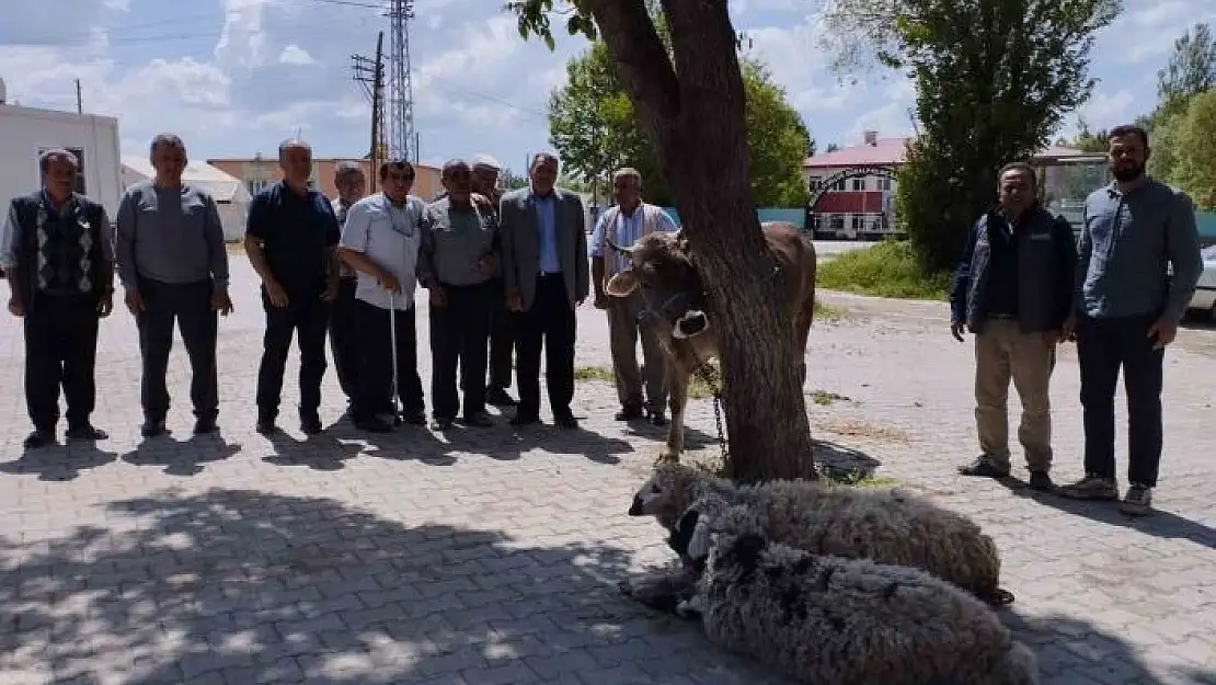 'Afetlerin son bulması ve bereket için kurban kestiler'