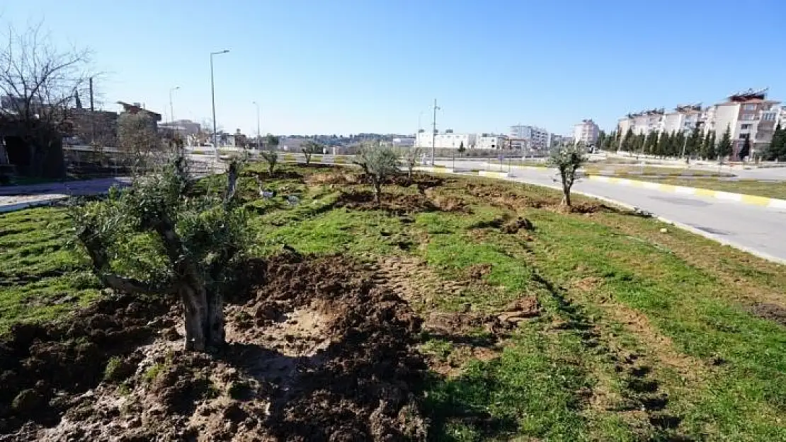 'Ağaçlandırma çalışmaları kavşaklarda devam ediyor'