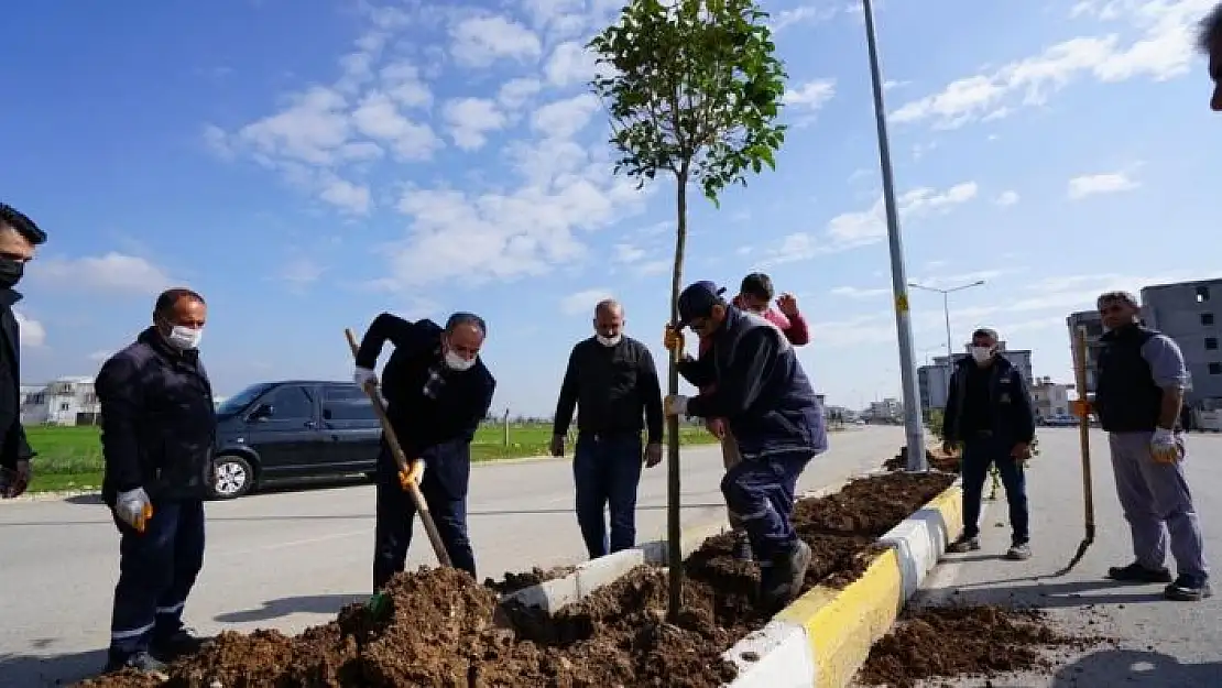 'Ağaçlandırma çalışması devam ediyor'